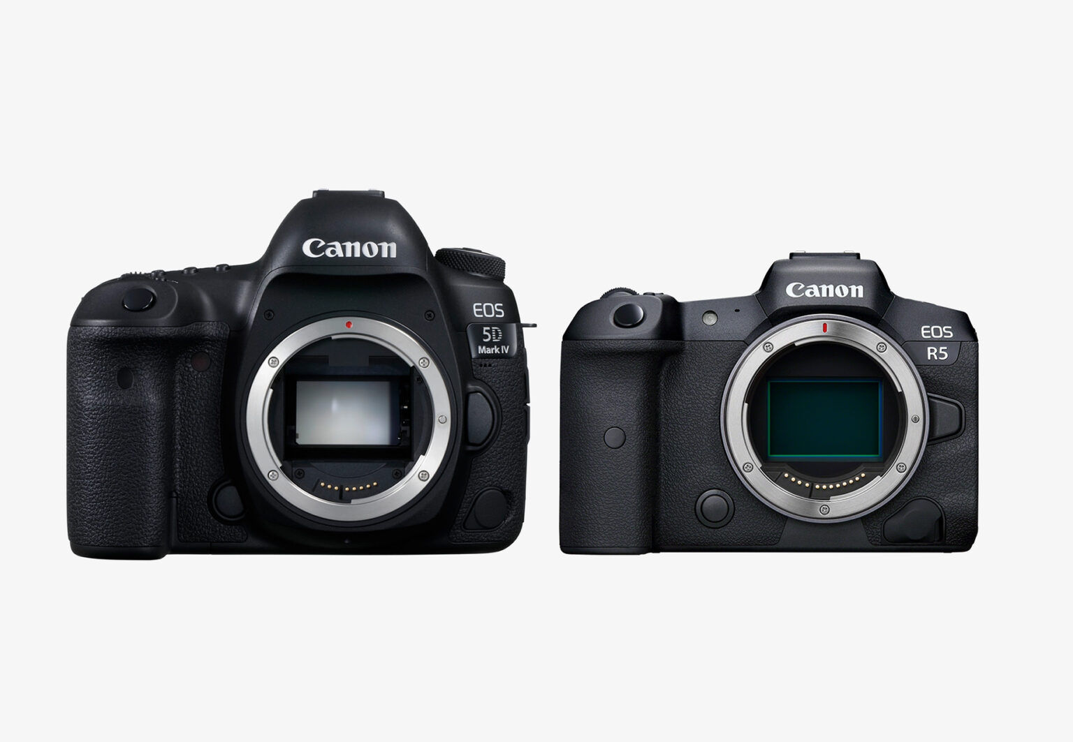 lustrzanka Canon EOS 5D Mark IV vs bezlusterkowiec Canon R5